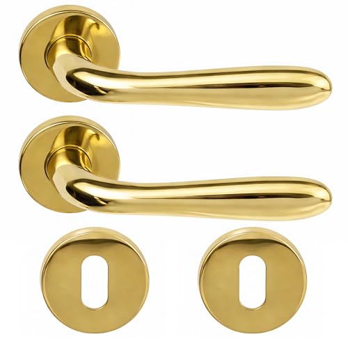 DACAN PROTECTION Maniglie Porte Interne in Alluminio con Rosetta 45 mm, Set Completo con Accessori per Porte Legno Bagno Camera Ufficio, Facile da Installare