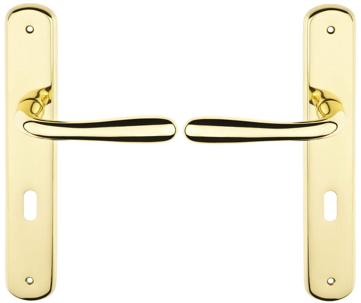 Coppia Maniglie Ottone Lucido Verniciato Con Placca 70mm Per Porte Interne -iaiadistribuzione