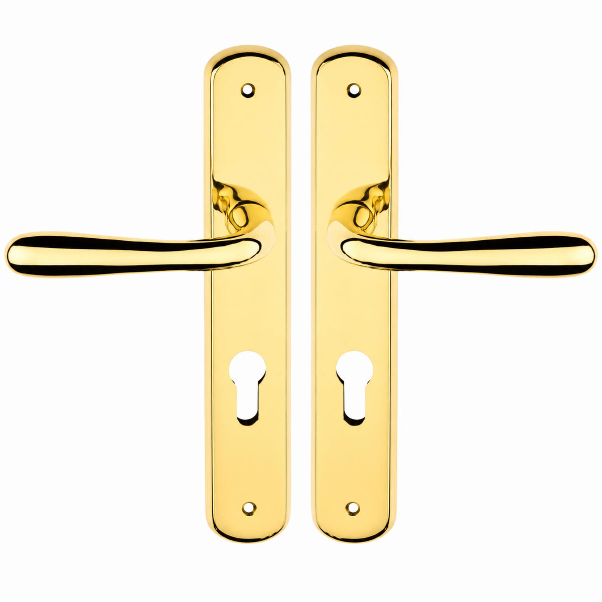 DACAN PROTECTION Maniglie Porte Interne con Placca in Alluminio e Foro Cilindro Europeo, Coppia Design Moderno per Porte in Legno