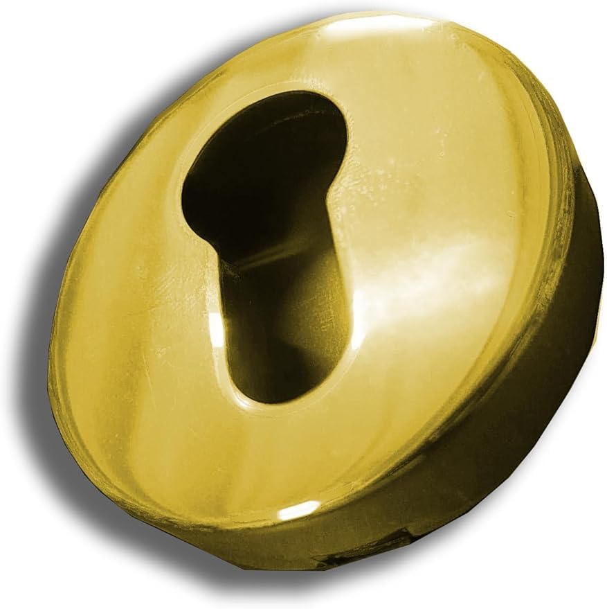 Coppia Rosette Foro Cilindro Compatibile con Foro Yale