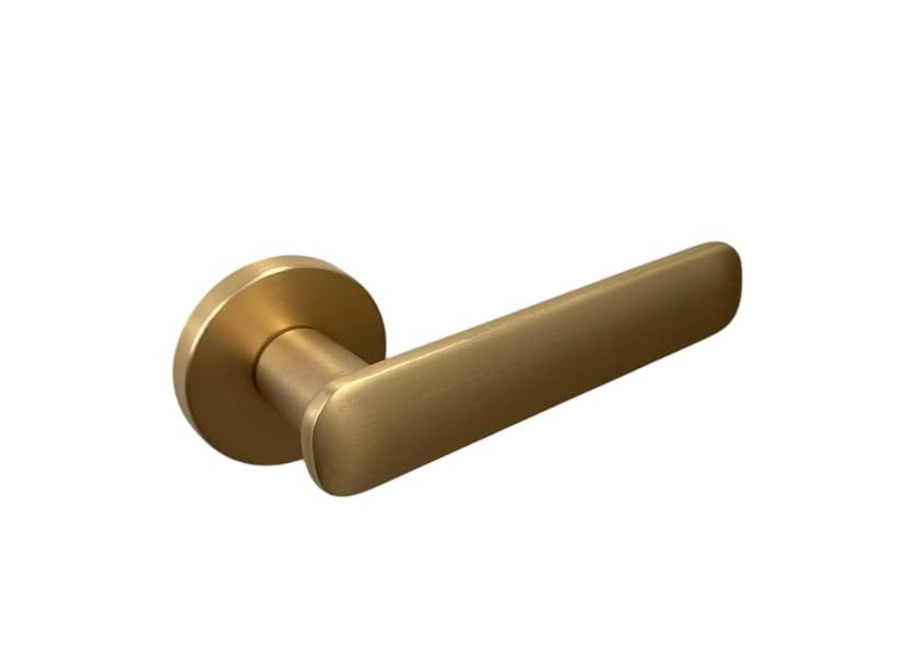 DACAN PROTECTION Maniglia per porta serie Caracciolo con rosetta Ø 50 mm – Finitura oro satinato, design moderno, ideale per interni - 1 coppia