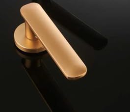 DACAN PROTECTION Maniglia per porta serie Caracciolo con rosetta Ø 50 mm – Finitura oro satinato, design moderno, ideale per interni - 1 coppia