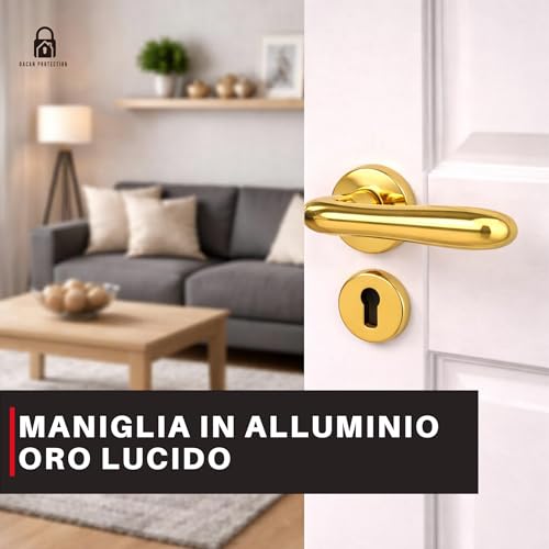 DACAN PROTECTION Maniglie Porte Interne in Alluminio con Rosetta 45 mm, Set Completo con Accessori per Porte Legno Bagno Camera Ufficio, Facile da Installare